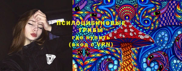 PSILOCYBIN Алексеевка
