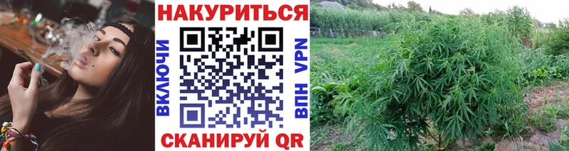 дарк нет наркотические препараты  наркотики  Калтан  Бошки марихуана тримм 